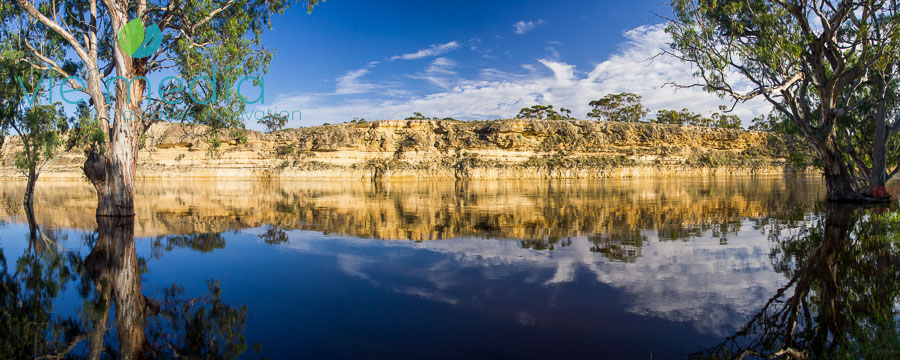 Sandstone cliffs on the Murray River at Cadell, NSW, Australia